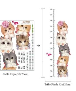 Toise Chambre Bébé Fille Toise Chambre Bébé Fille