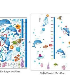 Enfant Toise Toise Bébé Dauphin