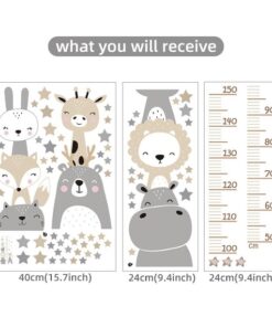 Toise Garçon Toise Garçon